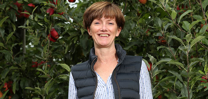ACTfruitgrower's tweet image. Food price inflation – what to expect in 2025 from BAPL

Read more via #HortNews &amp;gt;&amp;gt;  hortnews.com/articles/horti…

@GBApples #britishapples