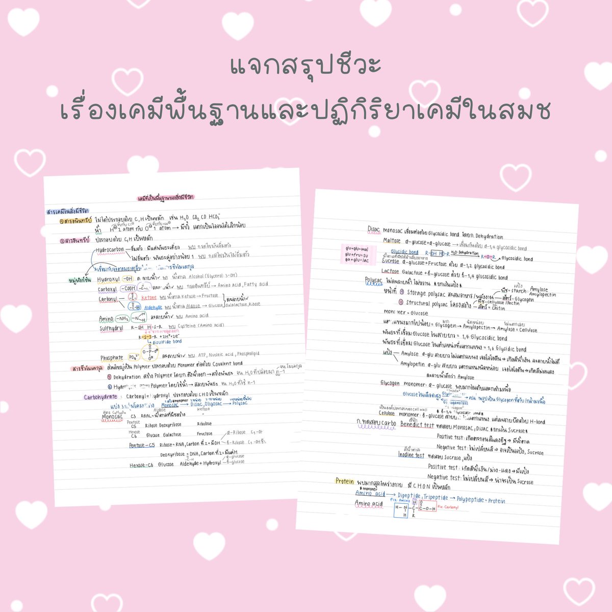 แจกสรุปชีวะ 3 เรื่องคับ🙌🏻🍎

★ระบบประสาทระดับcell 🧠
📎 [drive.google.com/file/d/1k64XcR…]

★ระบบขับถ่าย🚽
📎 [drive.google.com/file/d/1OX10UO…]

★เคมีพื้นฐานและปฏิกิริยาเคมีในสมช🧪
📎 [drive.google.com/file/d/18yUGaf…]

#dek68 #วันนี้dek68ทําอะไร