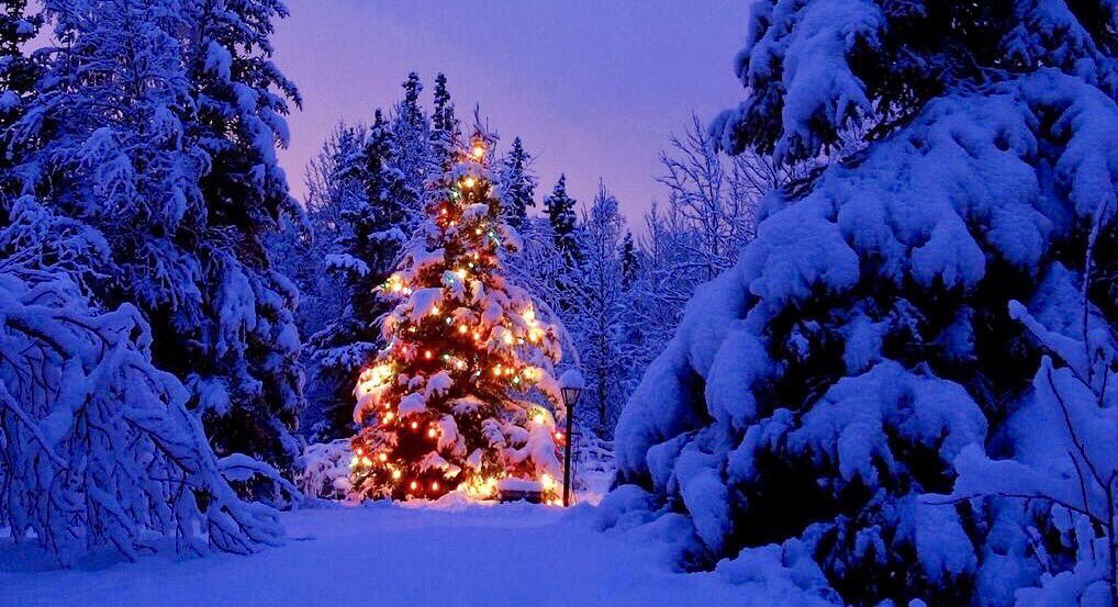 On this #ChristmasEve I would like to thank you all for helping to make this account the friendly, warm and kind community it is, where we can share a positive moment in each day. I hope it makes a small difference to you. Merry Christmas and thank you ❤️🎄