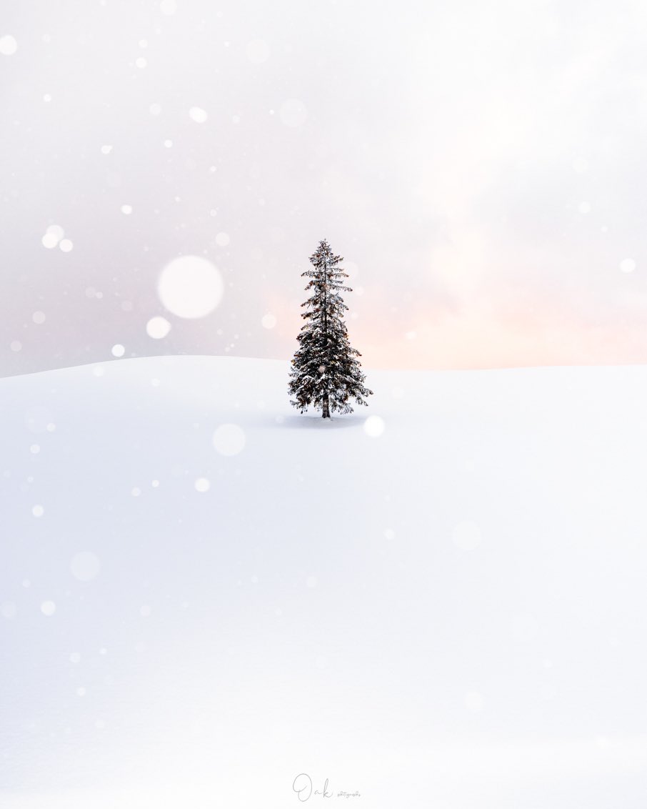 _oaaak's tweet photo. #MerryChristmas2024 https://t.co/iz05UE8J6O