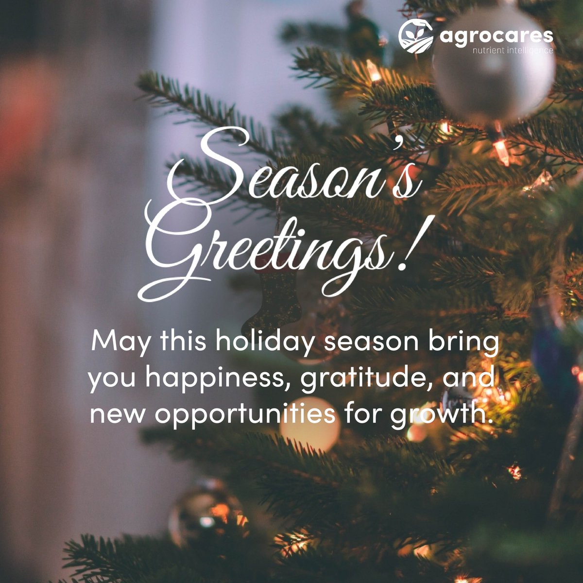 Season’s Greetings!

May this holiday season bring you happiness, gratitude, and new opportunities for growth.

#agrocares #nutrientintelligence
#seasonsgreetings #happyholidays