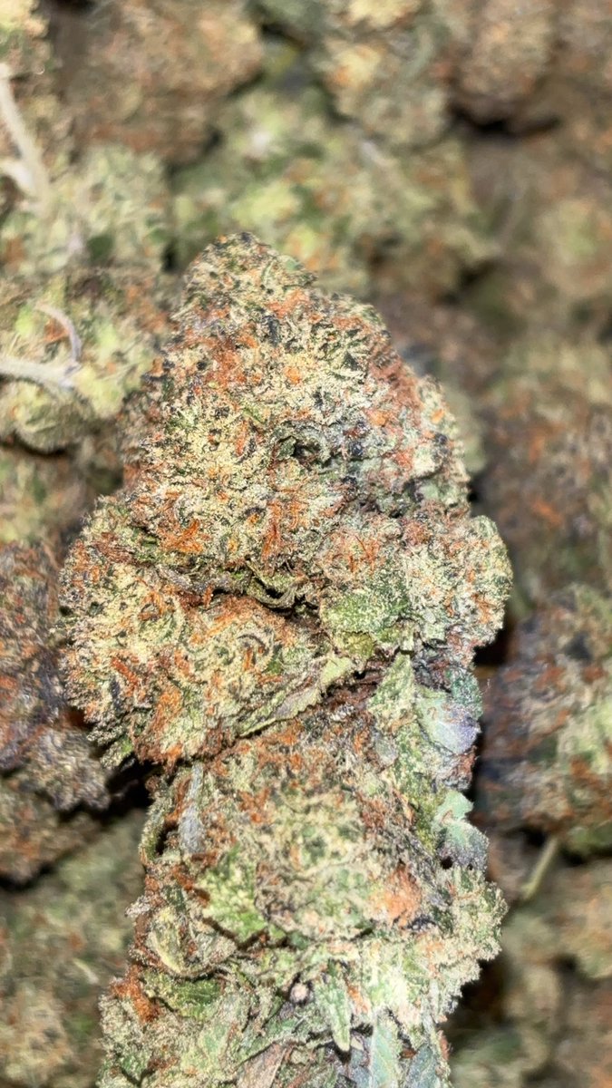 Yesss babyyyy🤭🔥 If you want something for a stealllll I got you⛽️🤞🏻 #MerryChristmas