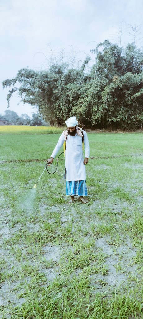 sidiqueirfan's tweet photo. #Farming 
#formerlife 
#AgricultureIndia 
#Agriculture 
#villagelife https://t.co/Fi1tcsnLV5