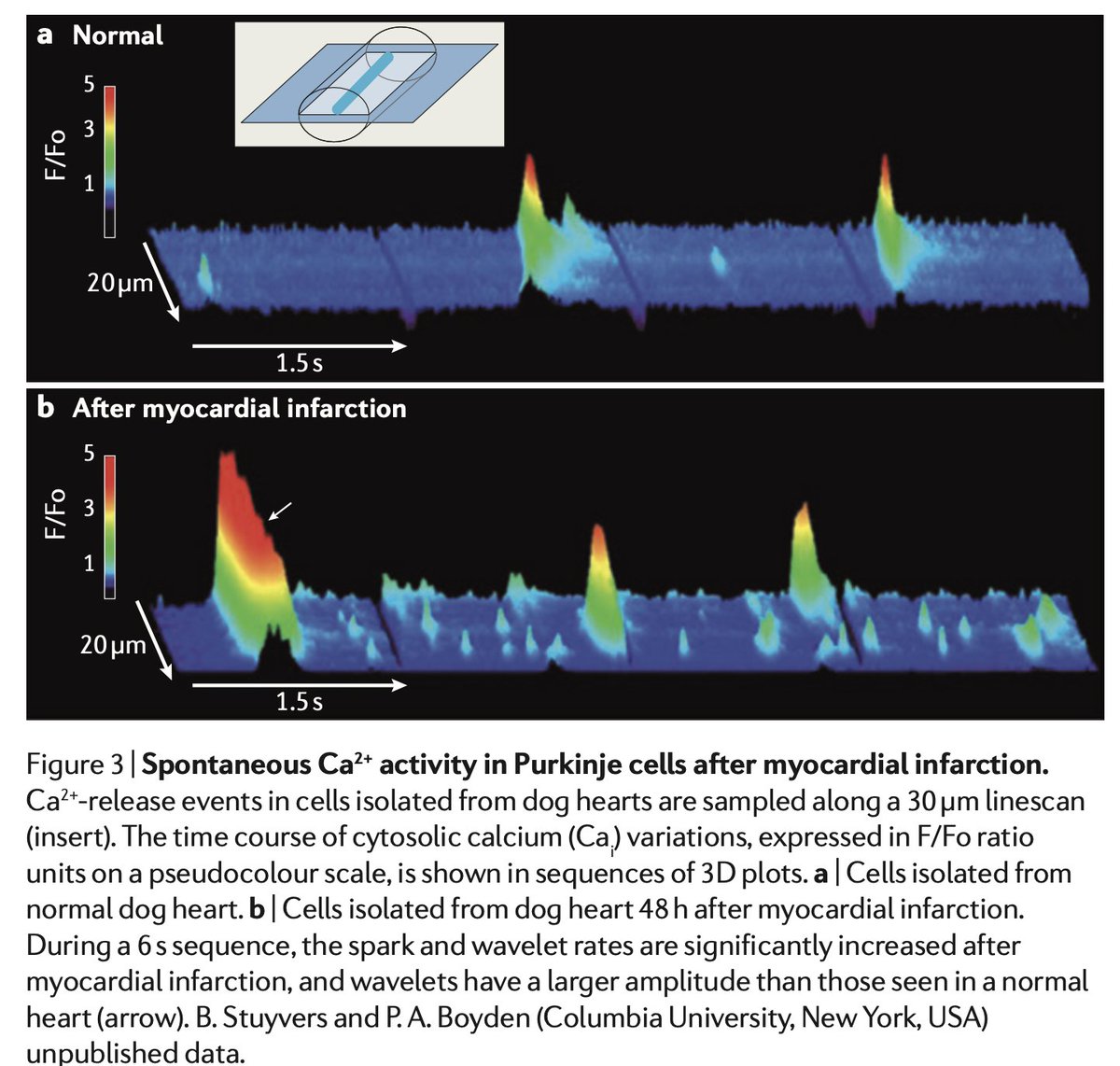 Dr. Zhong tweet media