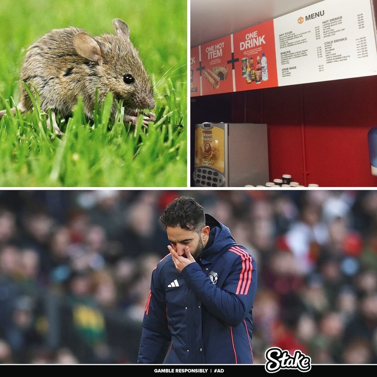 Reasons Why Supporting Manchester United is Embarrassing!

[a thread] 🪡