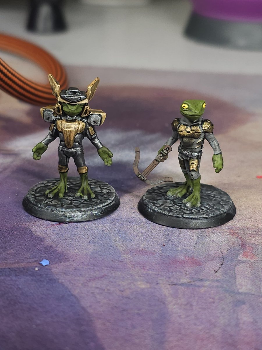 First time I get to play in a home game of D&amp;D in years.

And I choose Frog.