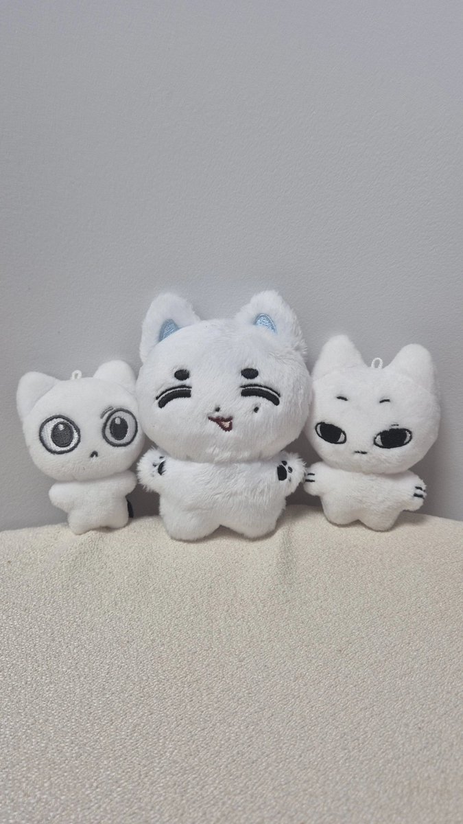 냥이들 사이에 낀 강쥐…
내 잘못으로 우편함에 8일 동안 갇혀 있던 한댕이… 미안해 ㅠㅠ
근데 너무 너무 귀엽잖아 🥺🥺
#김한댕졸업축하해