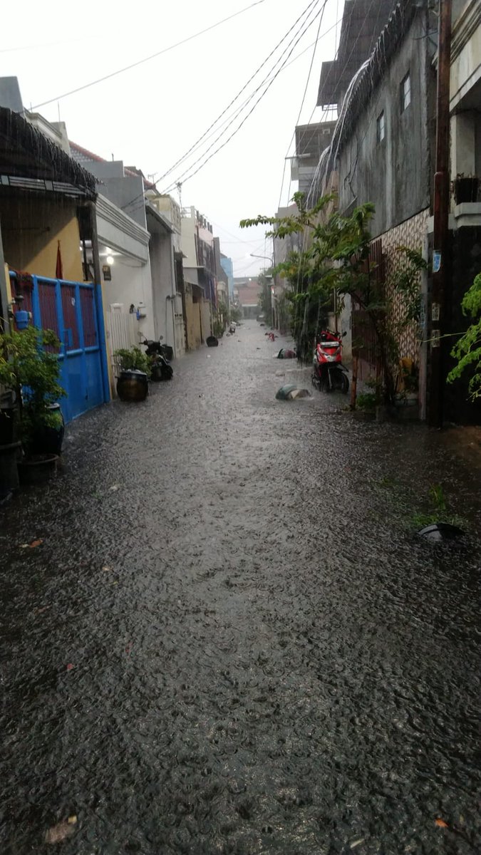 Pemkot Surabaya Mengkaji Pinjaman Rp 5 Triliun dari PT SMI untuk Pembiayaan Alternatif Pembangunan
Rumah saya sdh ajukan renovasi ke pemkot tdk ada jawaban bronggalan sawah 5a 76 rt003 rw009
suryamalang.tribunnews.com/2024/12/22/pem… lewat <a href="/tribunnews/">Tribunnews.com</a>