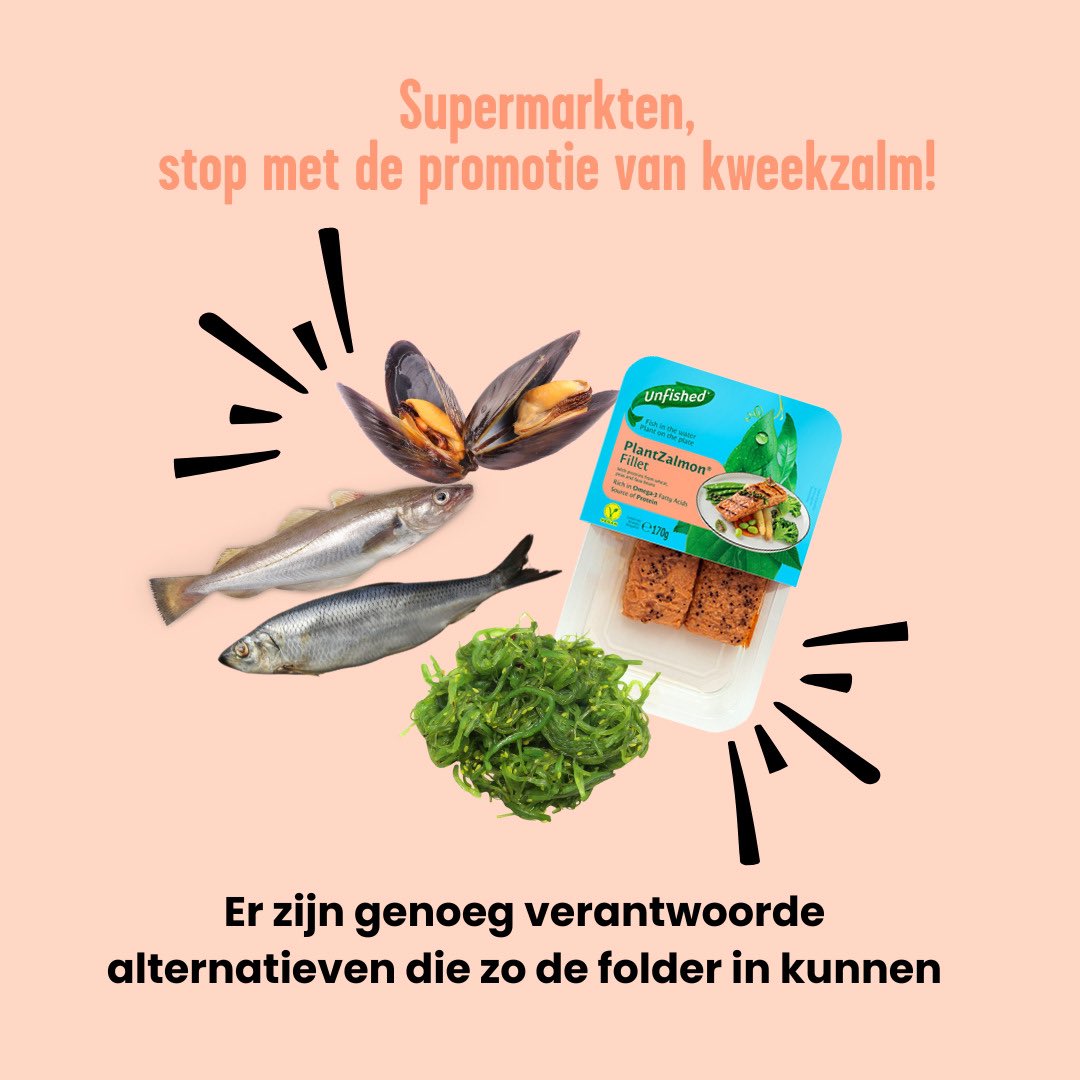 Er zijn genoeg alternatieven die wél verantwoord zijn🙌
Denk bijvoorbeeld aan zeewier, plantaardige visvervangers, of lokaal gevangen vis en schaaldieren zoals haring en mosselen. Net zo lekker!

👉Meer weten waarom kweekzalm oneerlijk en vervuilend is?: feedbackeurope.nl/het-kwaad-acht…