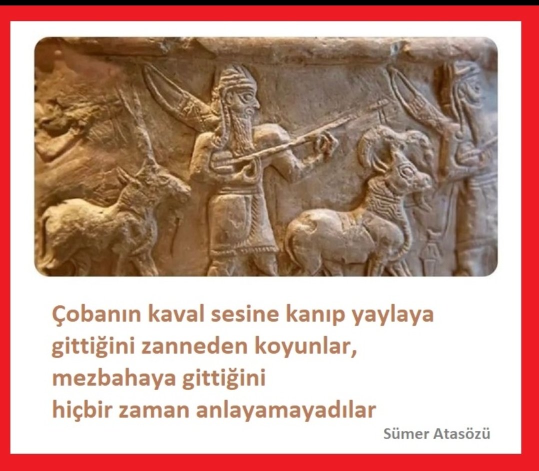 omerduven's tweet photo. Kaval sesi
Onemli
Çok
Önemli
#Asgariücret #sisi #Rakam #Putin
#Fransa #Almanyada #21Aralık #özlemgürses #FenerKongreye #Usyk #HayırlıSabahlar #honda #Devletneredededirtmeyin #kamu #özlem #deprem #Belgrad #onurumuzsunAlparslanHocam https://t.co/p9KexzUXET