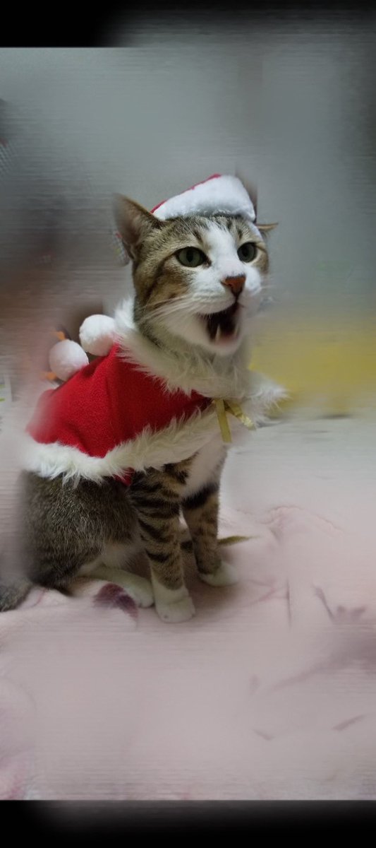 みなさん

🎄Merry Christmas🎄