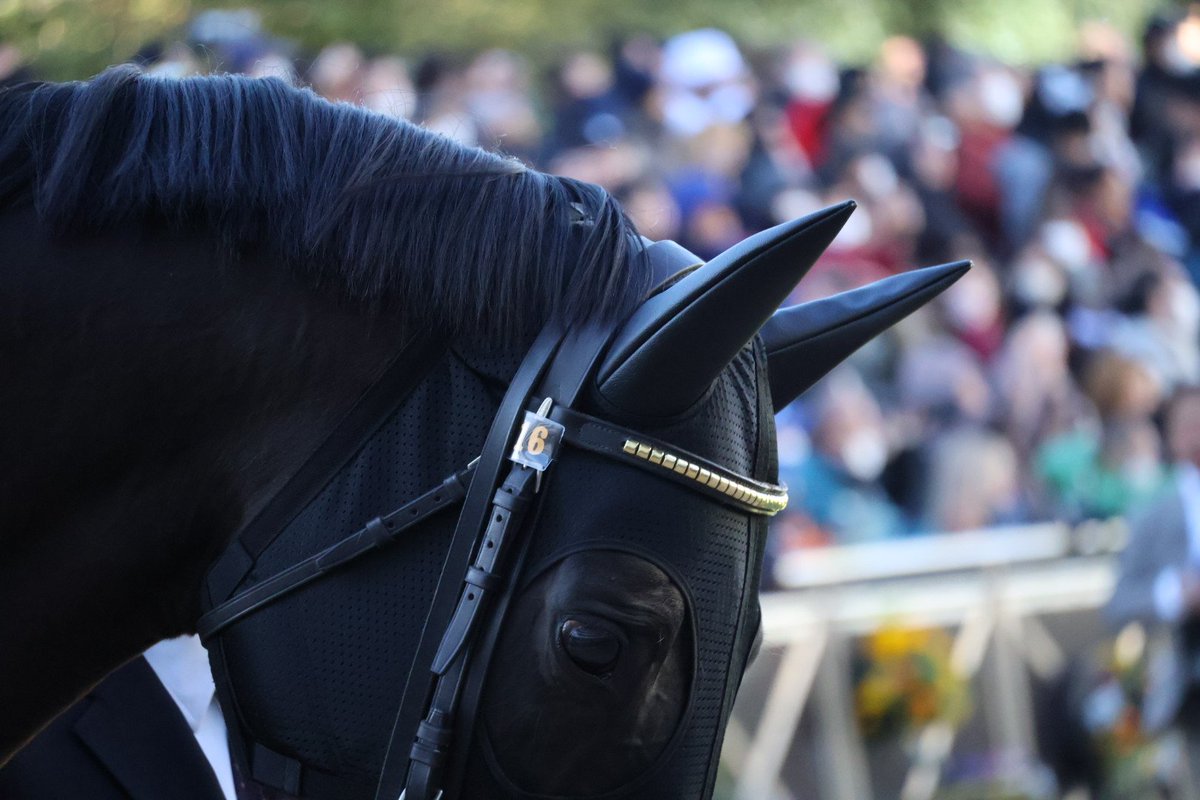 enm13's tweet image. #ディープボンド 
#有馬記念