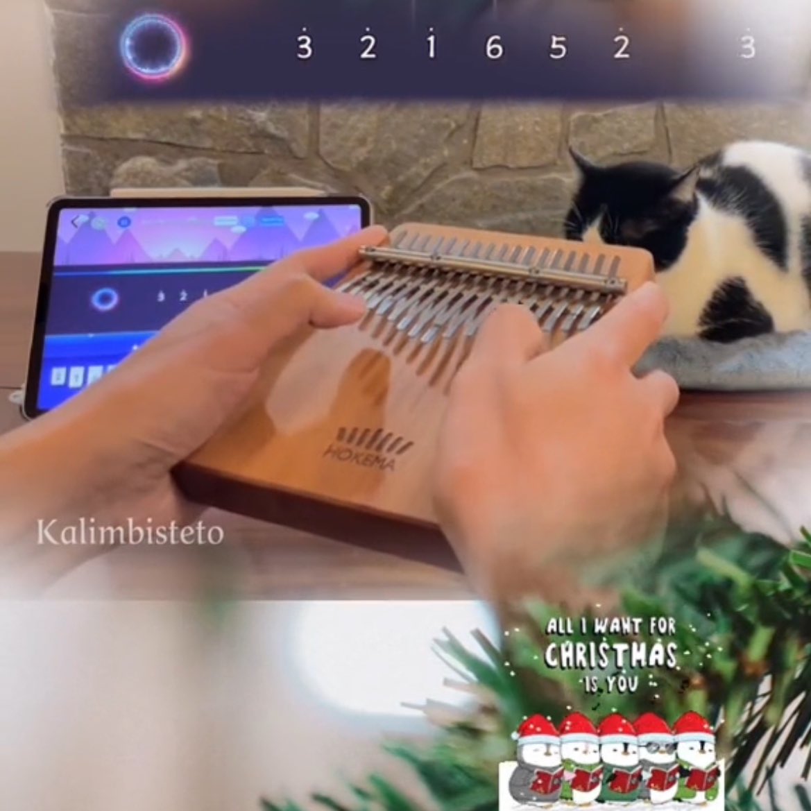 KiwiMbira's tweet photo. All I Want for #Christmas Is You - #kalimba tutorial (links below)

#AllIWantForChristmasIsYou #MariahCarey #alliwantforchristmas #xmas #kalimbatabs https://t.co/z7D9YZsCXq