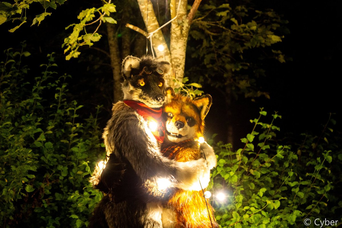 Me and <a href="/Ryf_Fox/">Ryf</a> want to wish everyone a wonderful Christmas time! Hope you all can enjoy these days with your loved ones ❤️🤗

📸 <a href="/CyberTheDerg/">Cyber</a>