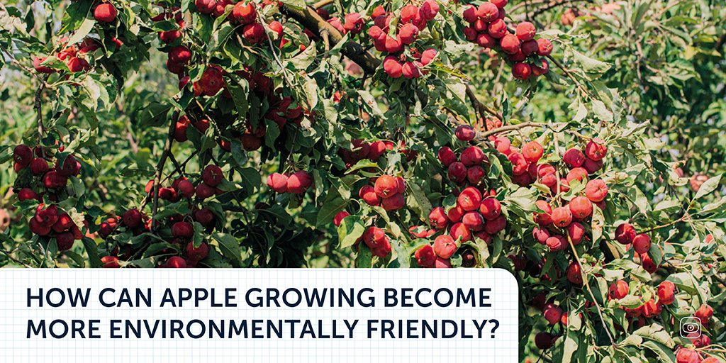 Making apple growing environment friendly is no easy task. <a href="/MartaDafne/">Marta Bellingreri</a> Tobias Asmuth, Alessio Mamo and Tobias Kruse looked into this to provide a peek into what are the possible ways to enhance the varieties grown in Europe. Read here: t.ly/vPpRW #earthinvestigations