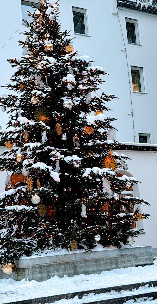 editsc's tweet image. Weihnachten 2024 🧑‍🎄🧑‍🎄🎄