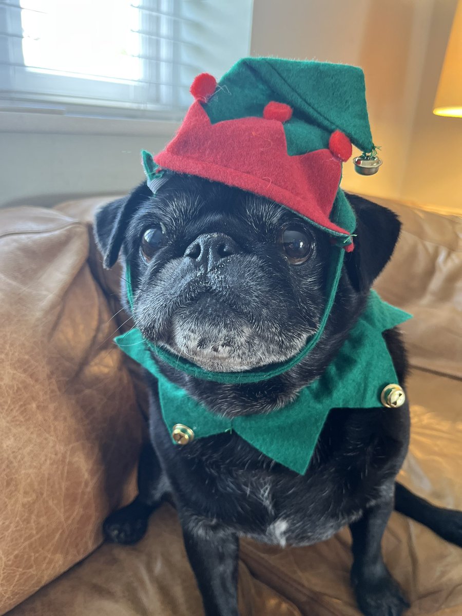 Ralph and all at Rickitt Partnership wish you all a very Merry Christmas! Hope you all have a grand and special day!! rickittpartnership.co.uk #estateagents