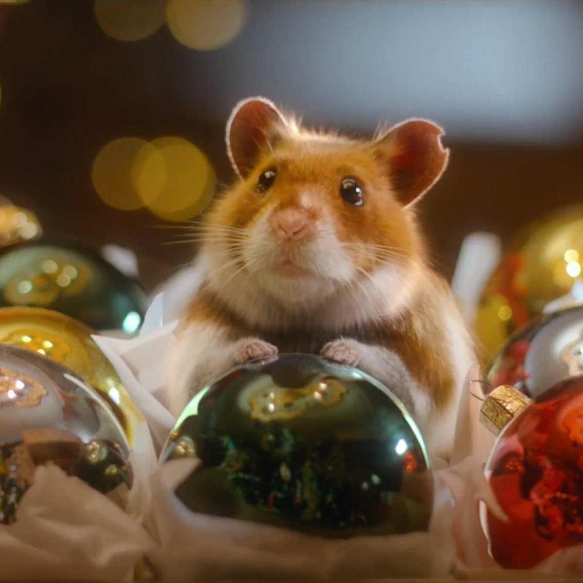 Lürzer's Best Holiday Ads 2024
From Loewe’s artful whimsy to Zevia’s surreal satire and Norwegian Postal Service’s Rudolph mockumentary, we’ve selected a festive dozen that stood out this year.

Discover the full lineup here: luerzersarchive.com/features/lurze…