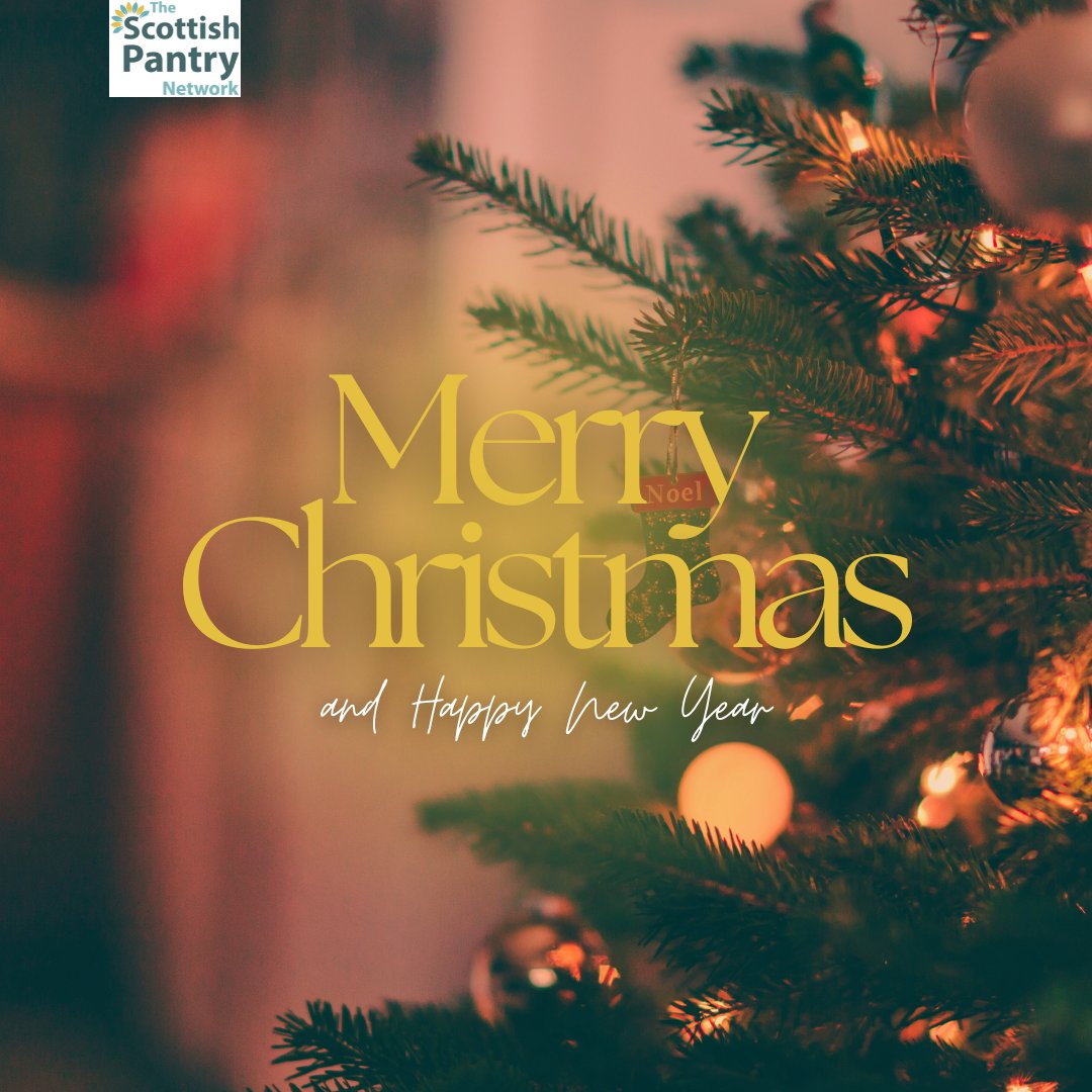 Merry Christmas and Happy New Year to all!🎉🎊

We look forward to more of TSPN in 2025! 🎉👏