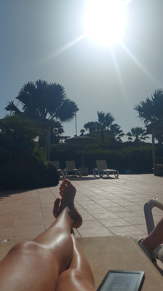 Inge ✍ tweet media