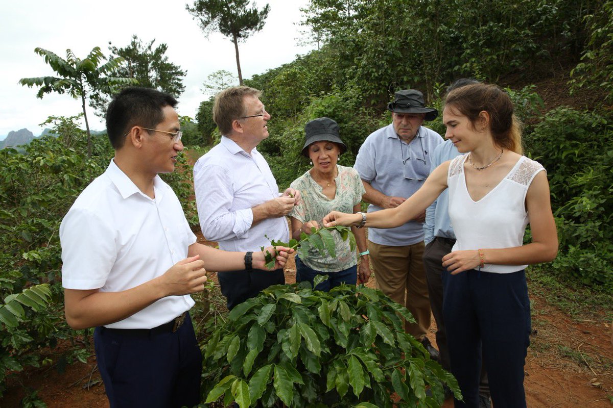 Conan Herve tweet media