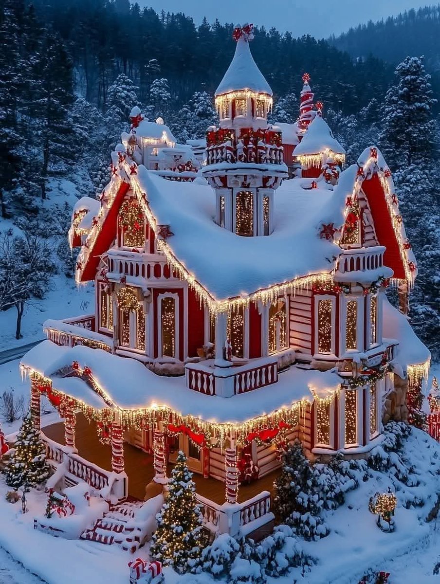 Beautiful evening 🌹🌿🧑‍🎄🌿🌙🌿💖