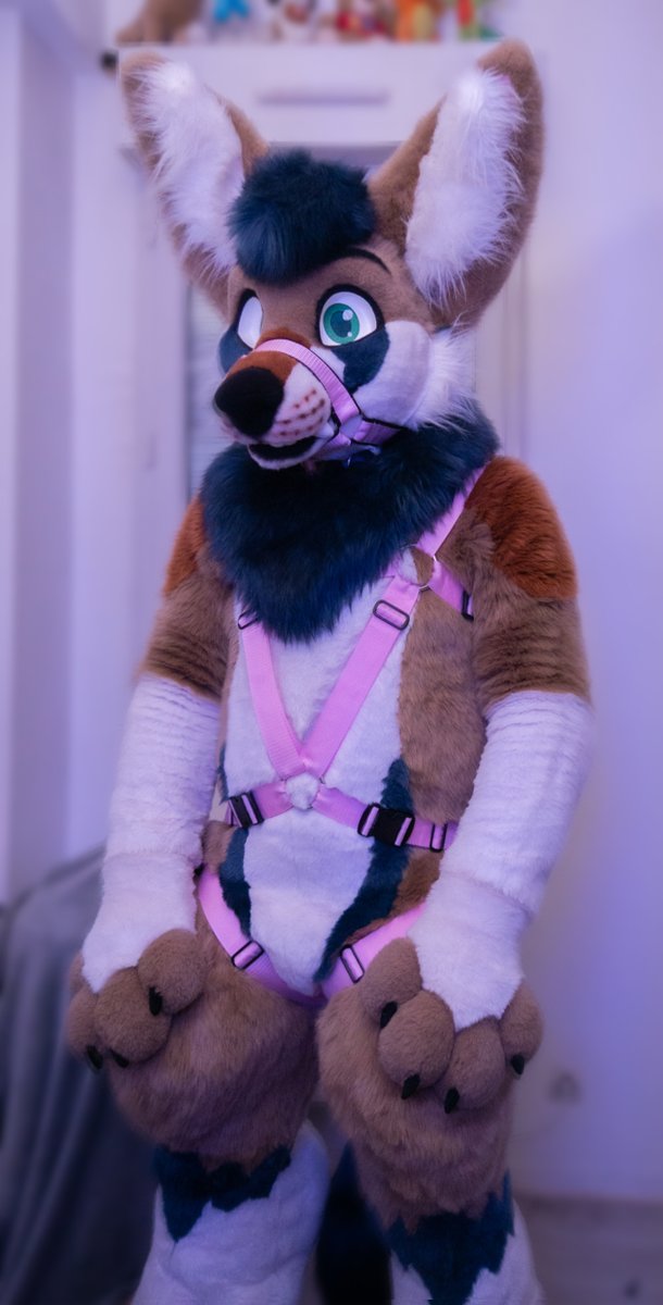 A well wrapped Gindo 😇 
Thanks to <a href="/Crunchycurl/">Crunchycurl</a> it was fast and arrived in time. I'll post more photos soon 😉