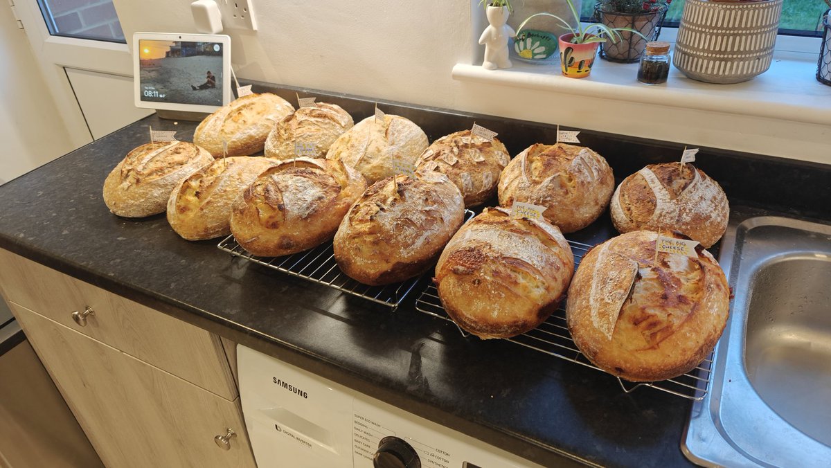 These are my 12 breads of Christmas #sourdough