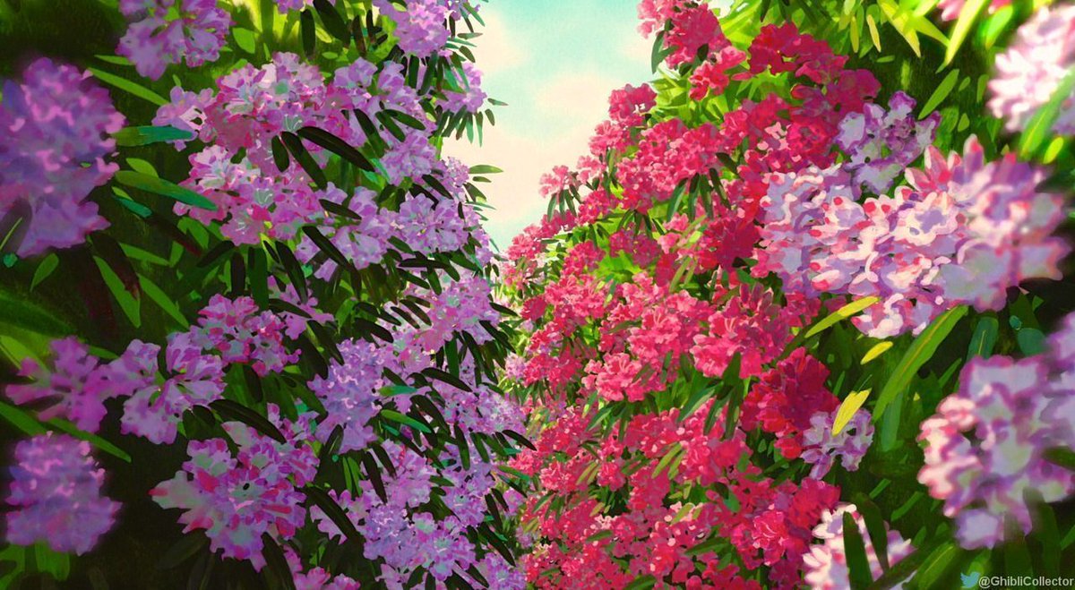 anime_'s tweet image. Studio Ghibli flowers 🌸