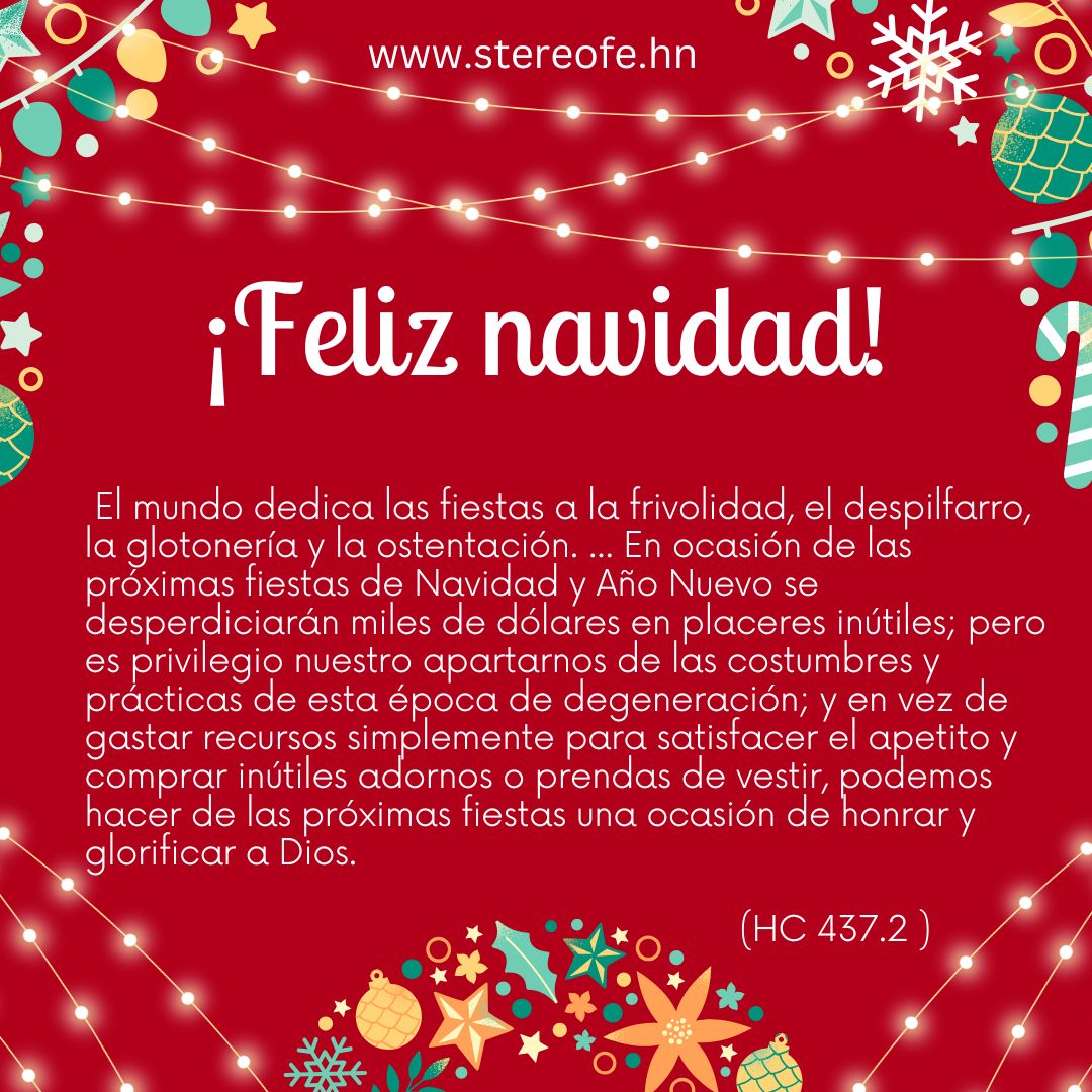 StereoFe tweet picture