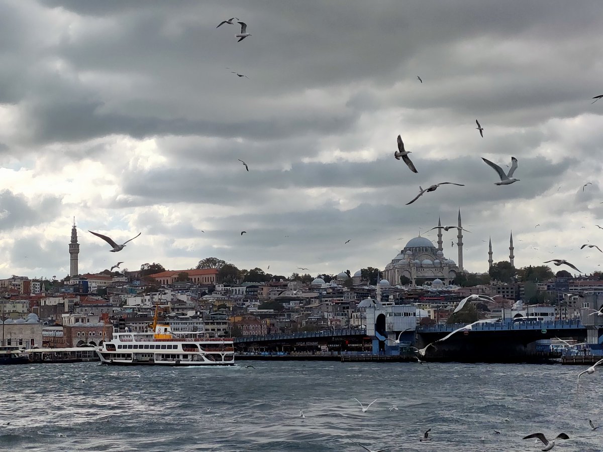 scanbasoglu's tweet image. Deniz denince aklıma boğaz ve martı martı geldiği doğrudur