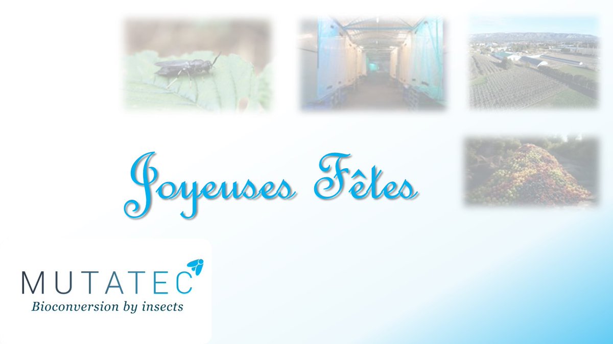 Toute l'équipe <a href="/mutatec_insects/">MUTATEC</a>  vous souhaite de très belles Fêtes de fin d'année.
The entire MUTATEC team wishes you a very happy holiday season. #Insects #BioconversionByInsects