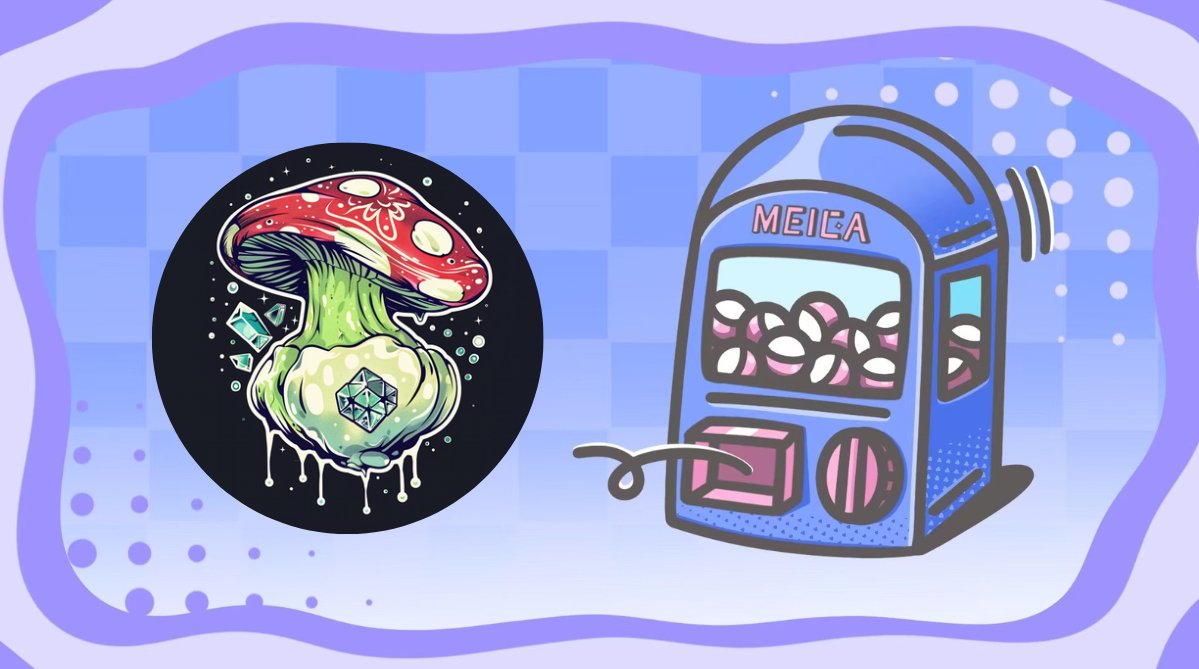 Shroom Fi tweet media