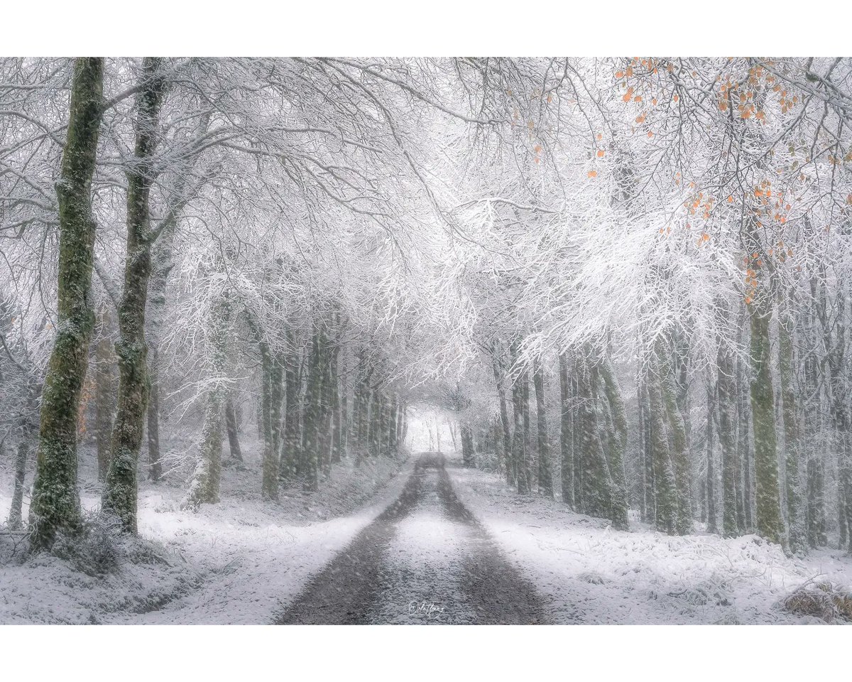 OrlaFlemingFoto's tweet photo. Merry Christmas & Happy Holidays to all who celebrate it, i hope you've a wonderful time with your loved ones.
📷 From that one day of snow we had a few weeks ago, taken on Keeper Hill
#Christmas #snow #Christmas2024 #winter #NaturePhotography #NatureBeauty #keeperhill #Ireland