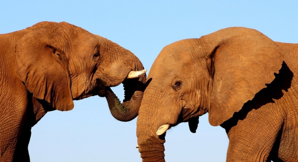 Christmas is just around the corner! 🫂

Wishing you all a happy festive season and a beautiful time with family and loved ones 🫂