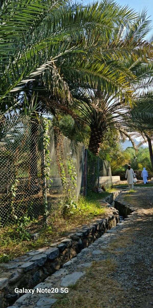 الله يخلق لك بدايات جديدة ،،،
فلا تقف خلف الأبواب المغلقة طويلاً ❤️
#تصويري 
#صباح_الخير  
#صباح_الاجواء_الحلوه 
#شما_الشامسي