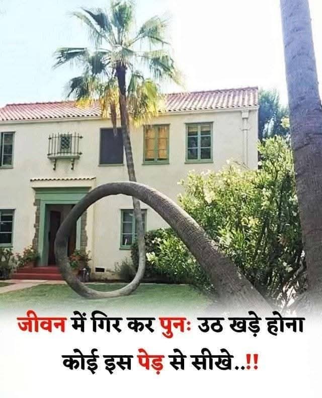 पतित्वा नोत्थितश्चेन्ना श्रेष्ठत्वं तन्न विद्यते।
श्रेष्ठत्वं तत्पतित्वा चेदुत्तिष्ठति मुहुर्मुहुः।।
                  "वात्स्यकोशः"
                  "भावार्थ"
महानता वो नहीं कि गिरकर मनुष्य उठे नहीं अपितु महानता तो वो है जो बार -बार गिरकर भी बार -बार उठ कर खड़ा हो जाता है।