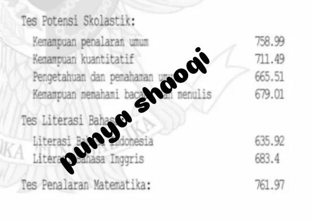 ★彡˚ CARAKU BELAJAR DAPATIN SKOR 699 DI SNBT ｡⋆౨ৎ˚