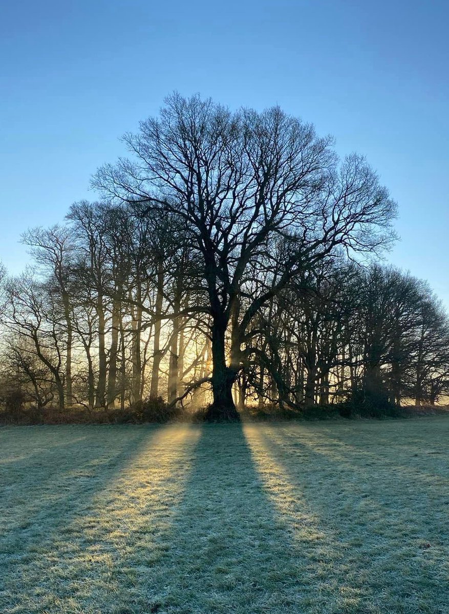 bucks bird club tweet media