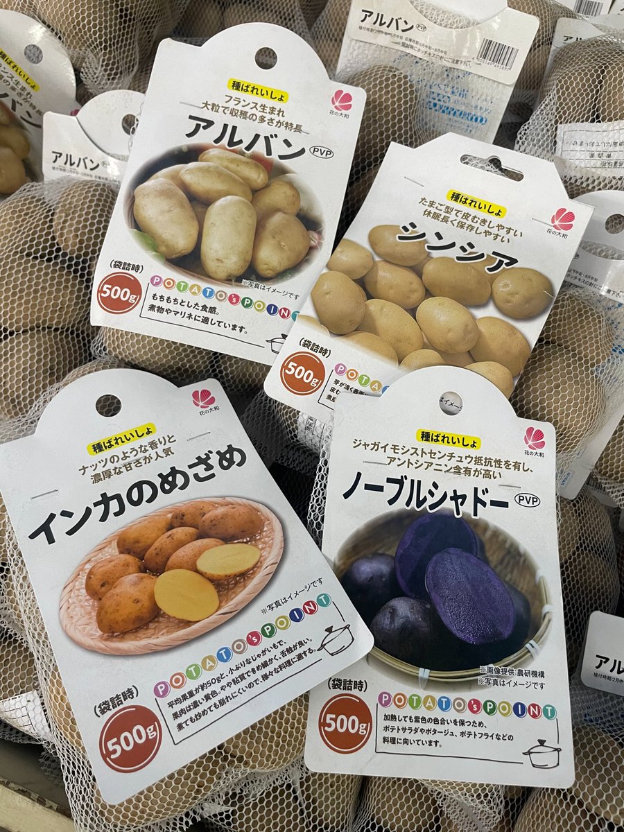 ガーデンセンター瑞穂店】 春の #種じゃがいも 入荷しております! 定番