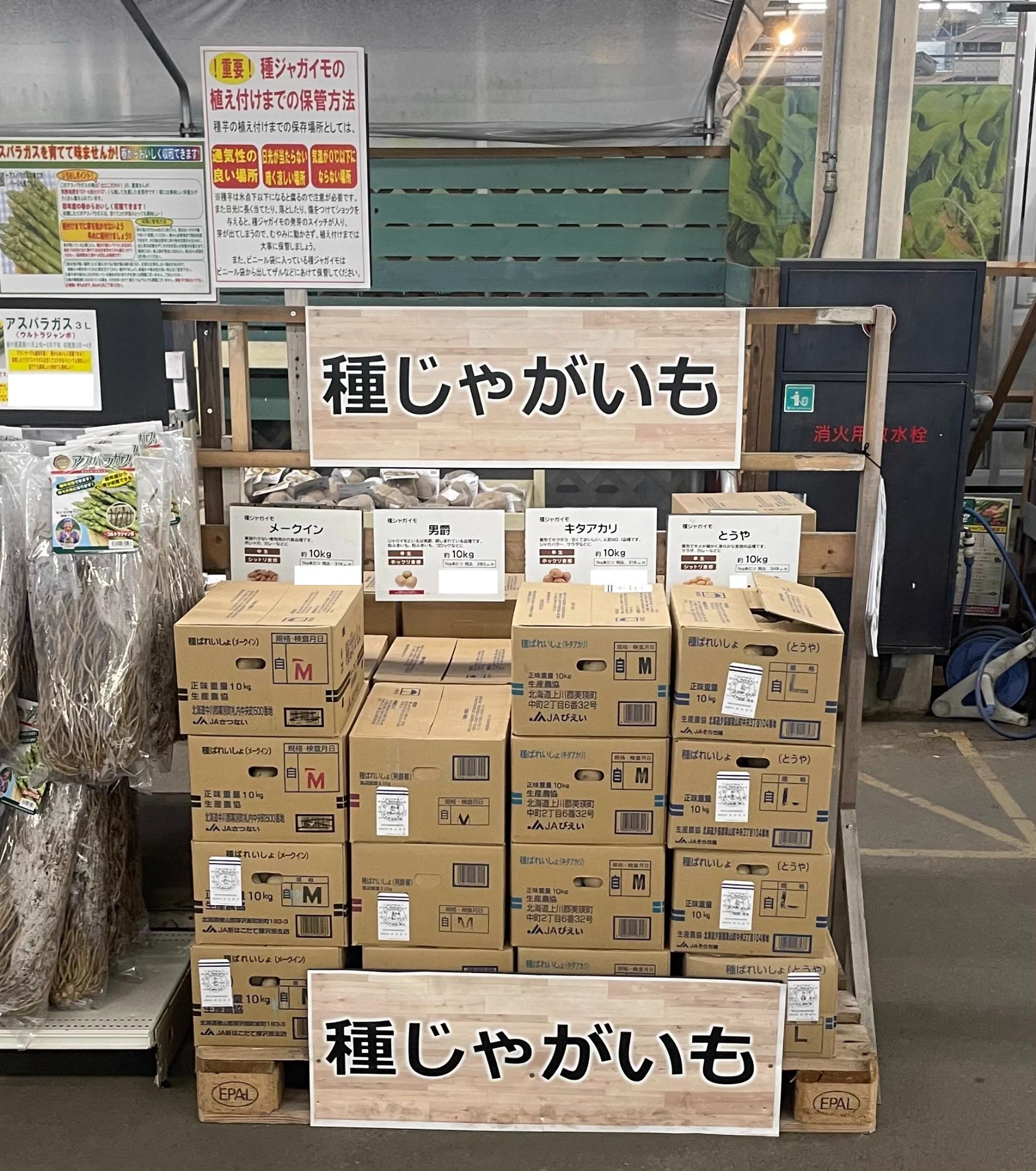 ジョイフル本田 ガーデンセンター on X: 
