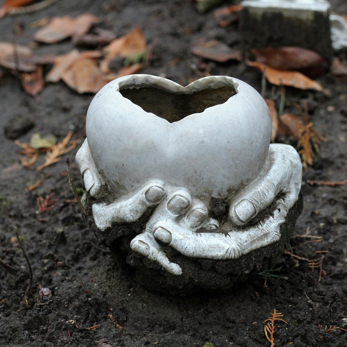 HansMiddendorp's tweet image. #Foto_Adventskalender #Kerstavond Kerstavond sta ik stil bij dierbaren die zijn overleden.