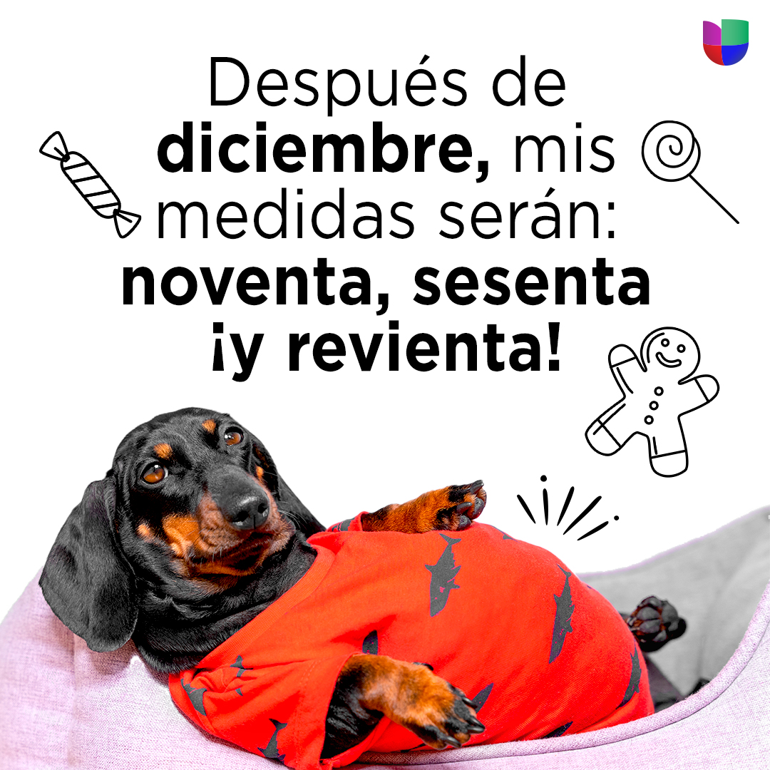 Univision's tweet image. ¡Ah, pero qué deliciosa estaba toda la comida! 😋🤭🤣

#Diet #decembervibes #TVContent
