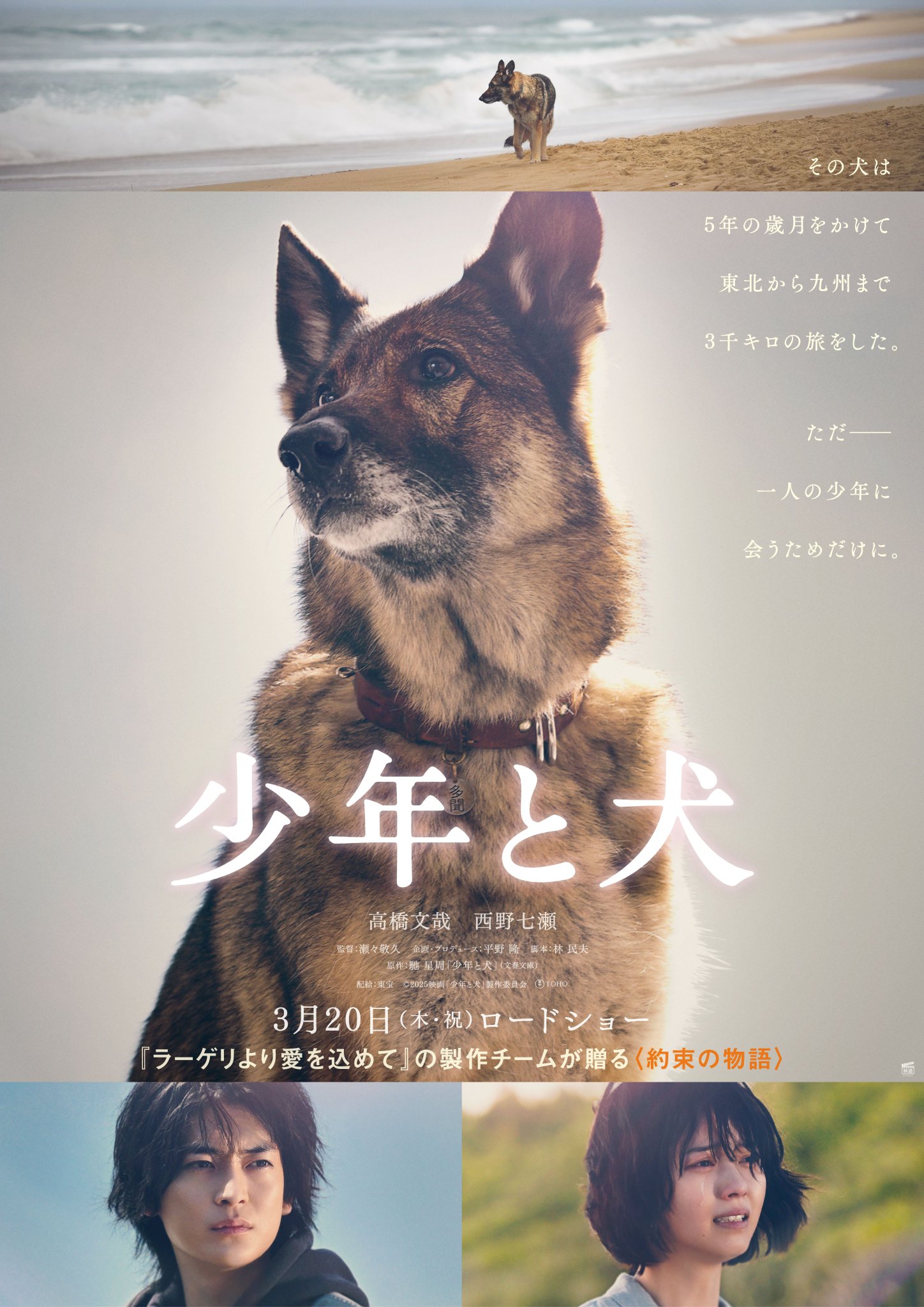 太陽と犬 直木賞受賞作をコミカライズ！「少年と犬」6月28日発売 - YouTube