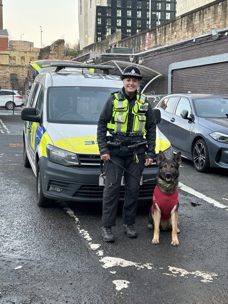 BTP's tweet photo. Merry Christmas from our very festive police dog Luca who is getting ready for his initial training course in the new year. 🐶 🎄 🎁 

Luca may look sweet but he has a serious role in keeping you safe across the railway network. 💙 https://t.co/lNoNOUeUnQ