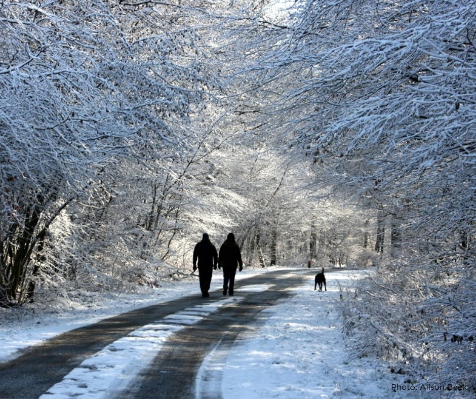 If you're after some fresh air today, a walk is a great way to get outside for some peace and quiet before the busy days ahead. Our winter walks offer a selection of routes across the Chilterns and they are FREE to download and access here 👉bit.ly/46KttnC