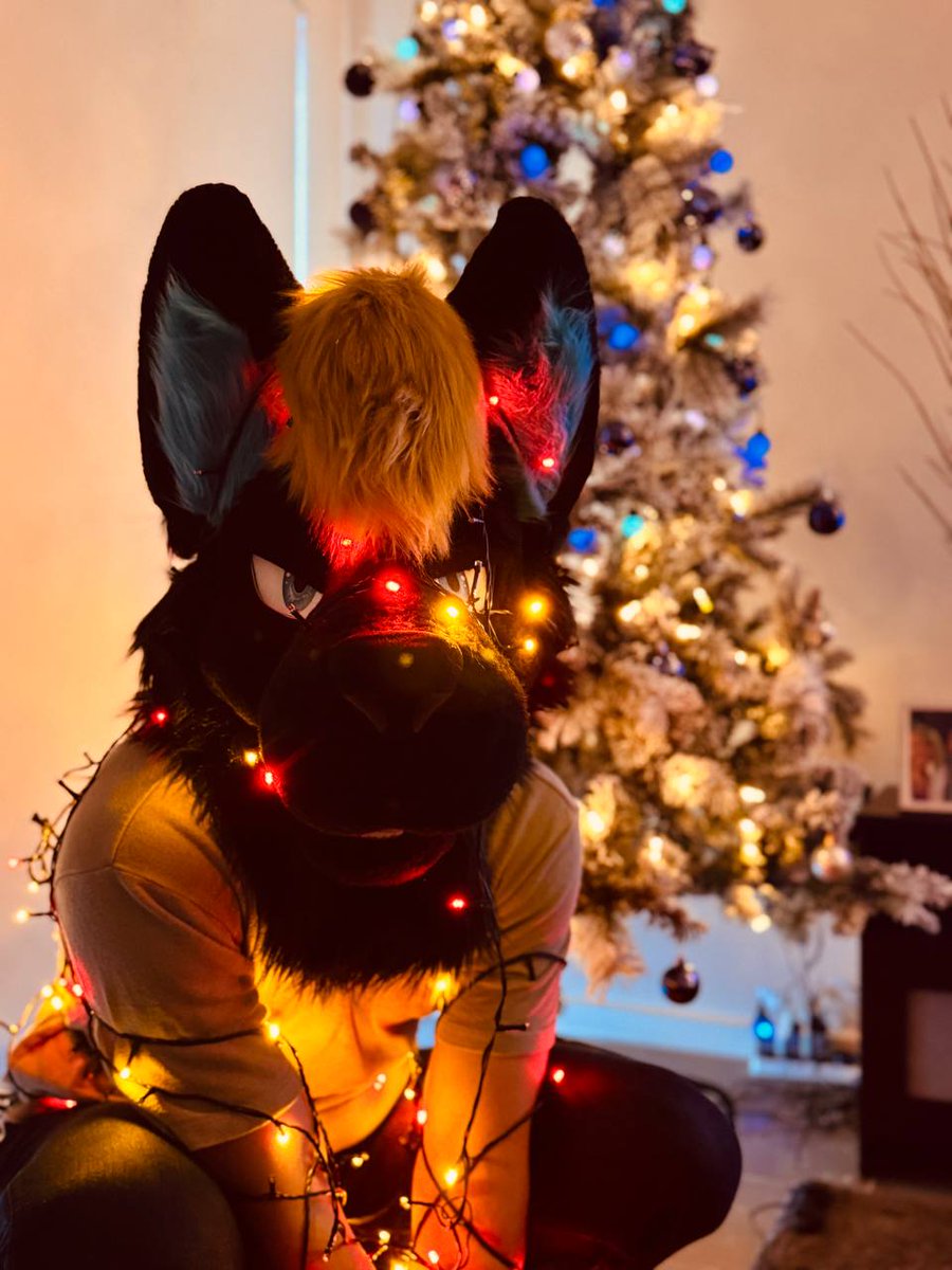 Merry Wolpmas you filthy animals~

To get your presents you need to get past me 🐾 

🪡: @Hunni_Bear_Art
📸: <a href="/AusBennyDingo/">Benny! 🔜 FurDU'26</a>