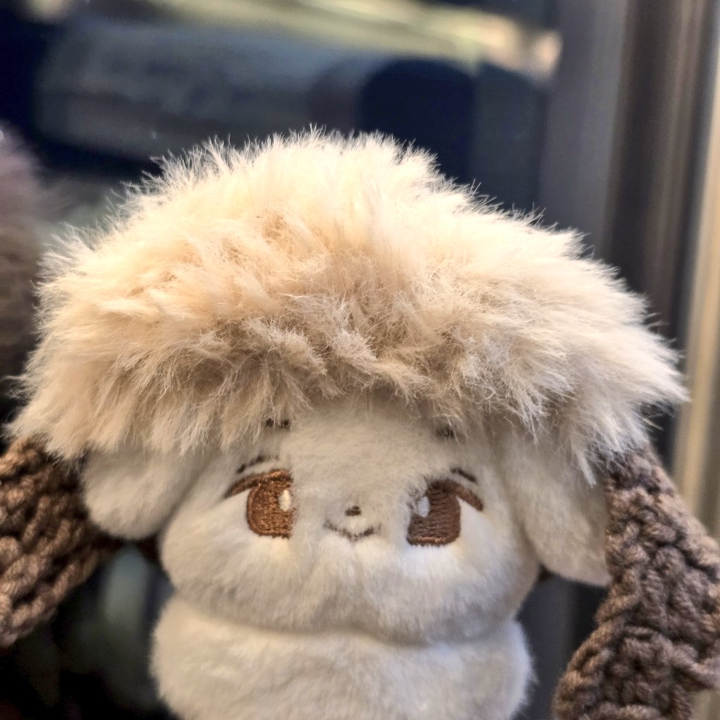 zz6섭이 보고 돌아오던 길의 군밤모자 짠쪼🐶
(나눔받았던 모자가 너무 귀여워서...죽을것 같아요)