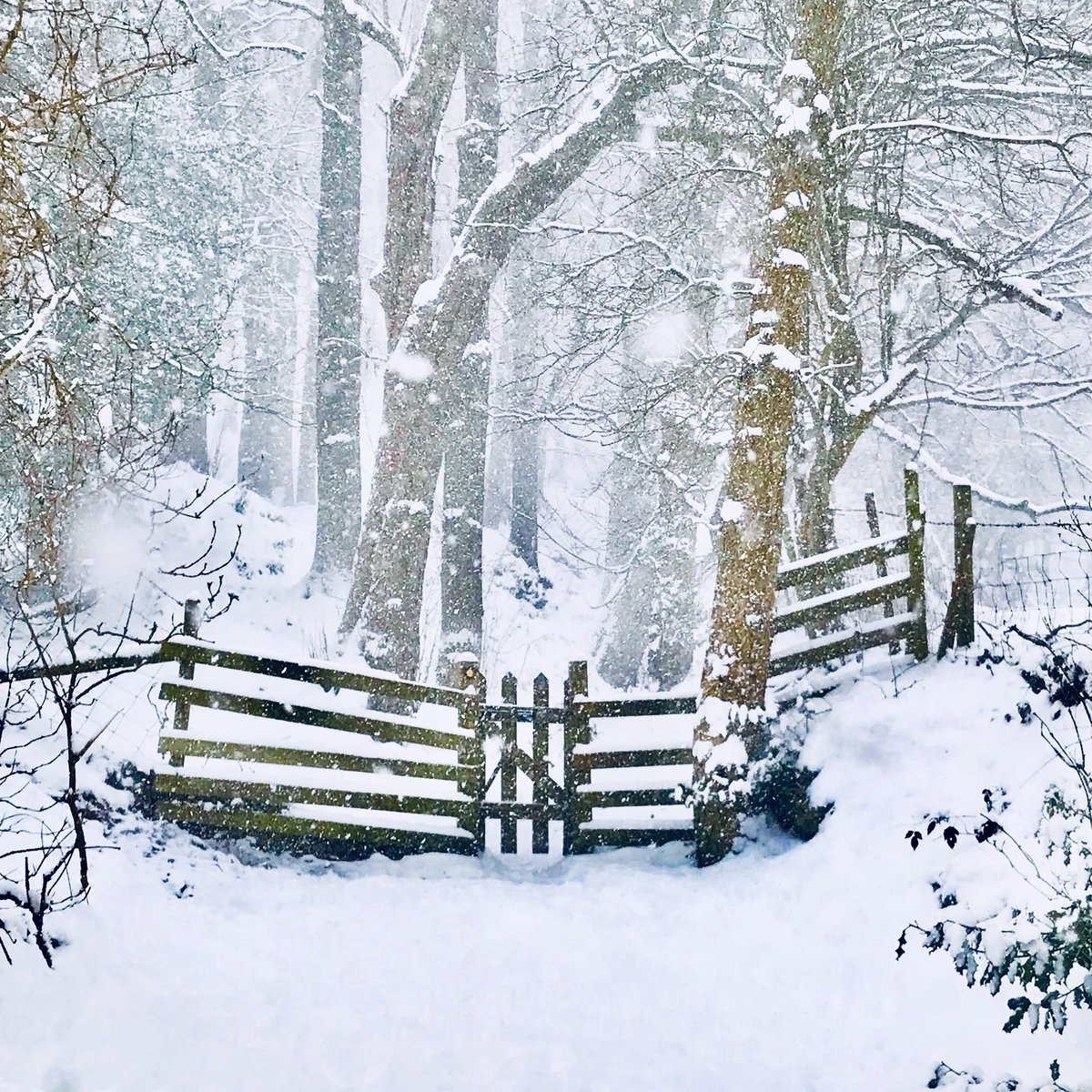 peaklass tweet media