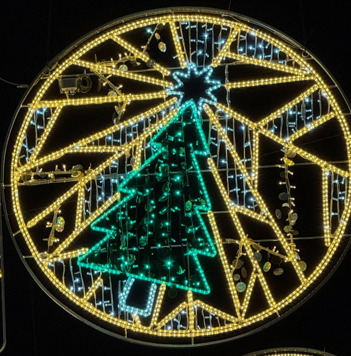 UCIMar (@mar_uci) on Twitter photo Bon Nadal 🎄. Feliz Navidad🎄. Merry Christmas 🎄. <a href="/mar_uci/">UCIMar</a> <a href="/hospitaldelmar/">Hospital del Mar</a> <a href="/HMar_research/">HMar Research Institute</a> <a href="/UPFbiomed/">UPF Medicine and Life Sciences</a> <a href="/ucimar/">Luciana Maramis</a>.bsky.social Bon Nadal 🎄. Feliz Navidad🎄. Merry Christmas 🎄. <a href="/mar_uci/">UCIMar</a> <a href="/hospitaldelmar/">Hospital del Mar</a> <a href="/HMar_research/">HMar Research Institute</a> <a href="/UPFbiomed/">UPF Medicine and Life Sciences</a> <a href="/ucimar/">Luciana Maramis</a>.bsky.social